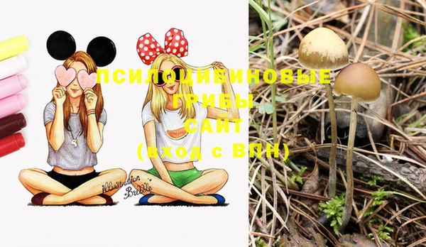 MESCALINE Покачи