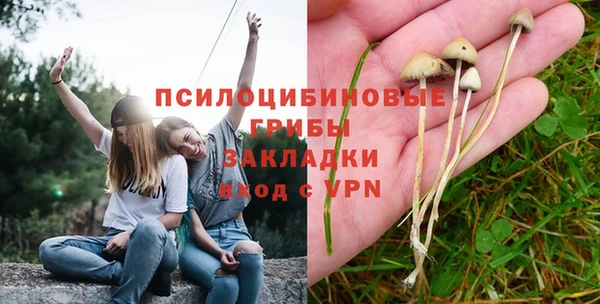 MESCALINE Покачи
