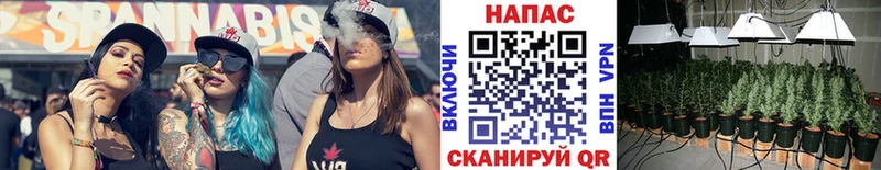 что такое наркотик  нарко площадка как зайти  Канабис индика  Шадринск 